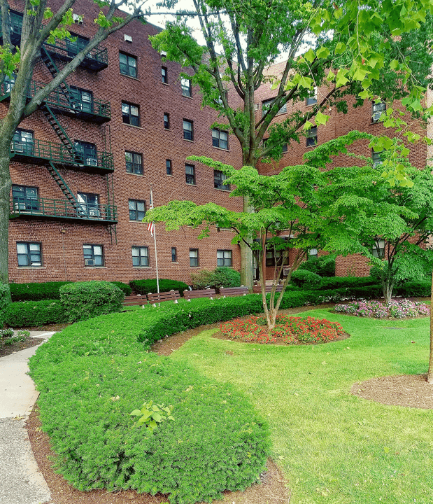 Section image