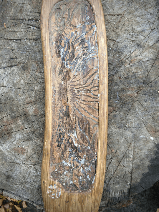 Section image