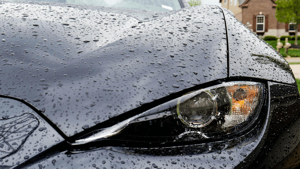 MVP Mobile Detailing Potomac
