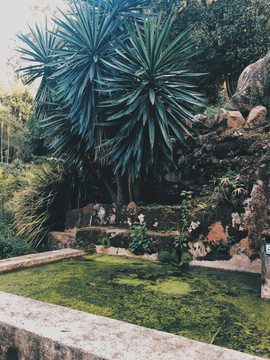 Jardines