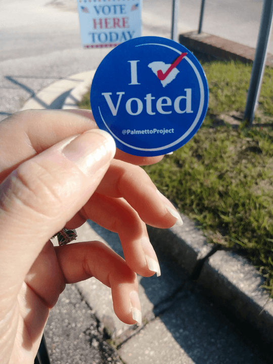 Educating voters is essential to a thriving democracy. We provide resources and workshops to inform citizens about their rights, the voting process, and the importance of their participation in elections. Empowered voters are the cornerstone of our democracy. Voter Education What We Stand For We’re a local grassroots citizens' movement uniting to protect, defend and rebuild our democracy