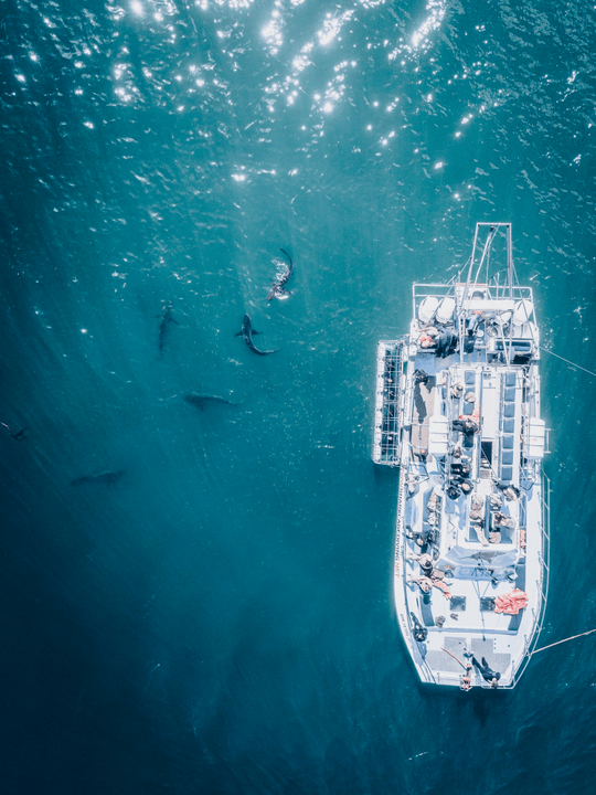 Underwater view of boat hull during marine inspection
