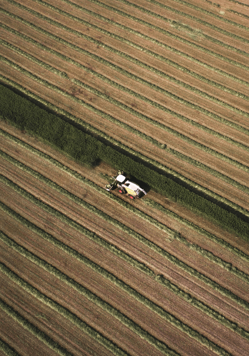 Section image