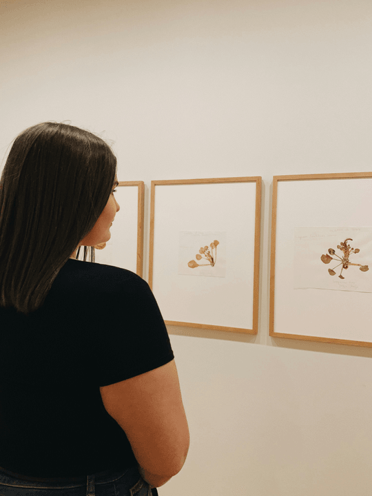 Explore exhibitions, workshops, and art events where Teresa’s work has been showcased. Event Highlights Artist Portfolio Teresa’s artist website. With a home page, about me page, artworks splited based on timeline, events, and types.
