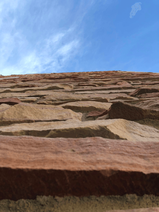 Section image