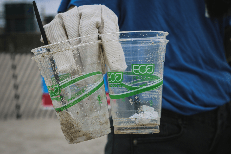 The Environmental Impact of Single-Use Plastics - Blog ...