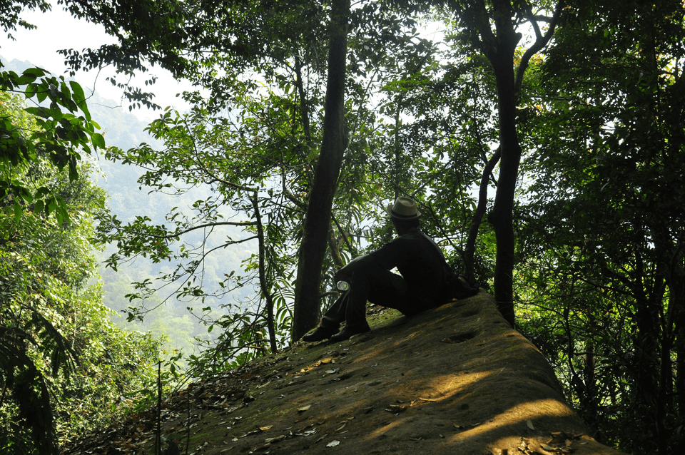 Section image