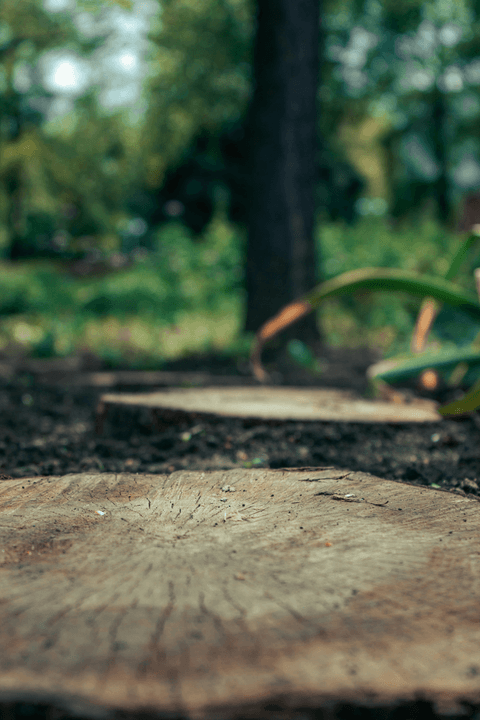 Outdoor Space in clean and clear