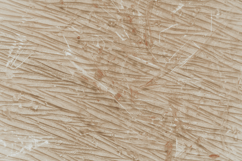 Textura de grano de madera