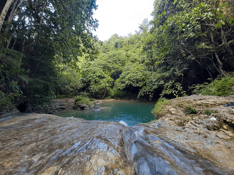 Section image