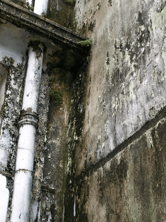 Water Fire Restoration Celina Tx