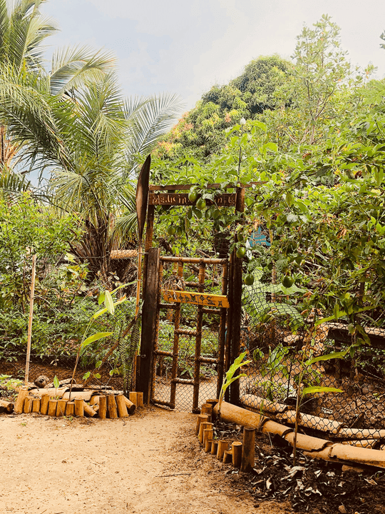 At Through The Golden Door EcoSocieties, we prioritize sustainability in every initiative we undertake. Our commitment to eco-friendly practices ensures that our projects not only benefit communities but also protect the environment. We aim to inspire others to adopt sustainable habits that contribute to a healthier planet. Sustainable Practices Our Mission Through The Golden Door EcoSocieties