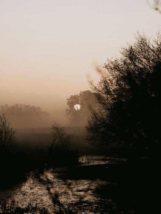  “RMIEPA has transformed our understanding of environmental regulations, providing guidance that is clear and actionable.” Our initiatives have supported over 300 communities in enhancing their environmental practices Environmental Protection Authority