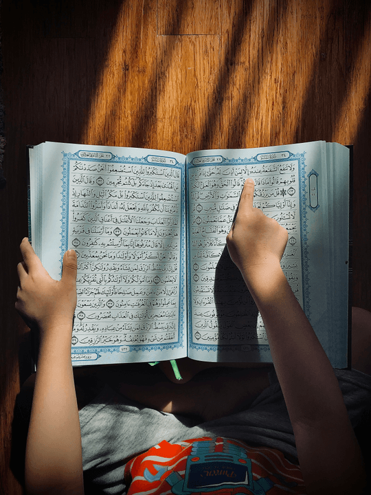 Section image