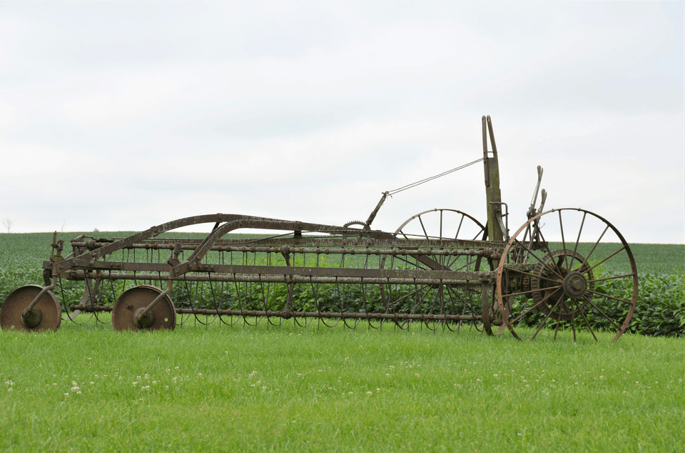 Section image