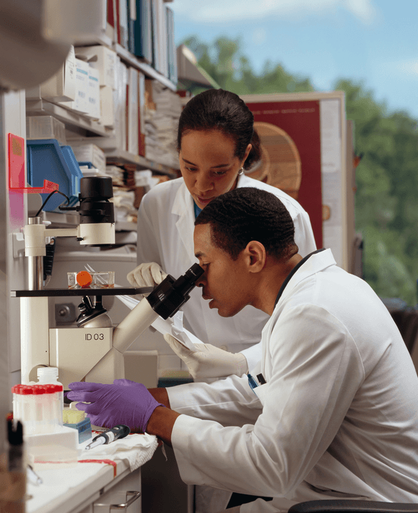 We focus on designing scientific experiments to ensure the reliability and validity of the results. experiment design Our service scientific evidence