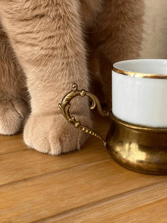 Taste our selected coffee and tea, enjoy the perfect pairing with cats. delicious drink Our service Cat coffee shop, play with cats, relax mood