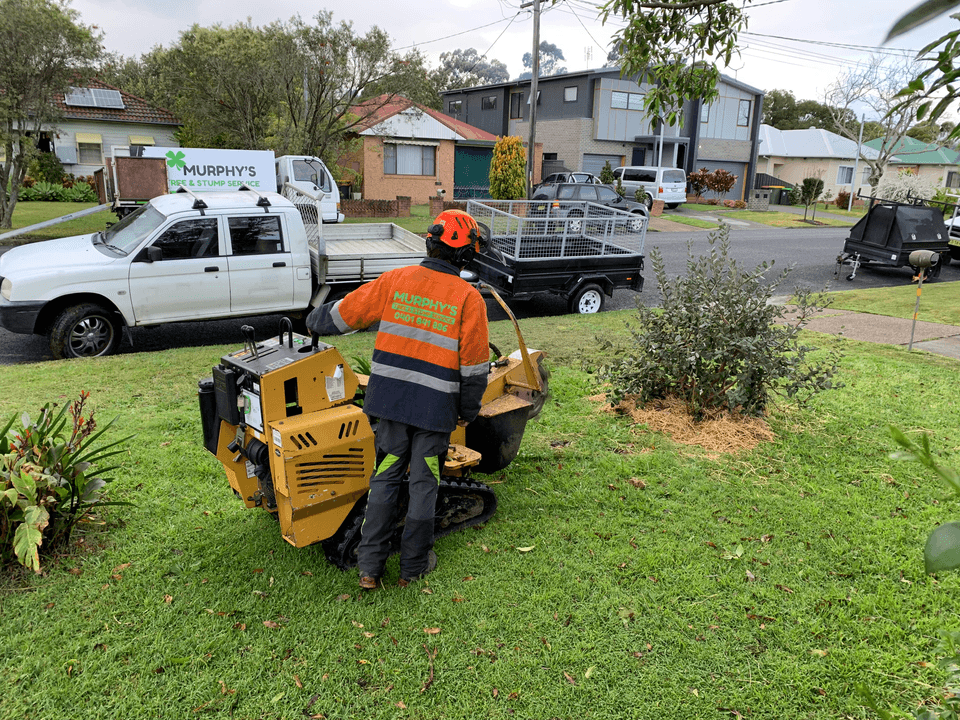 stump grinding in waukesha county wi