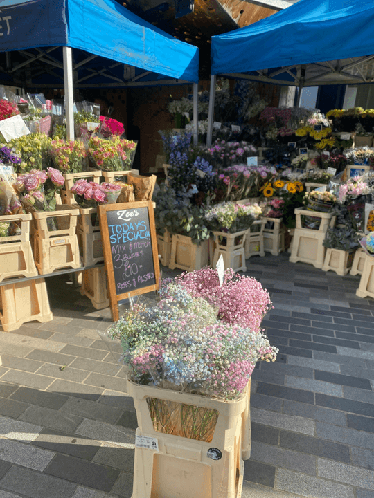 We collaborate with brands to create memorable events, integrating unique blooms that leave a mark on minds. Brand Events Our Mission Delivery of flowers and green plants, wedding decorations, and brand events. Flower and green plant delivery, wedding decorations, and brand events. Fresh flowers and green plant delivery, wedding decorations, and brand activities.