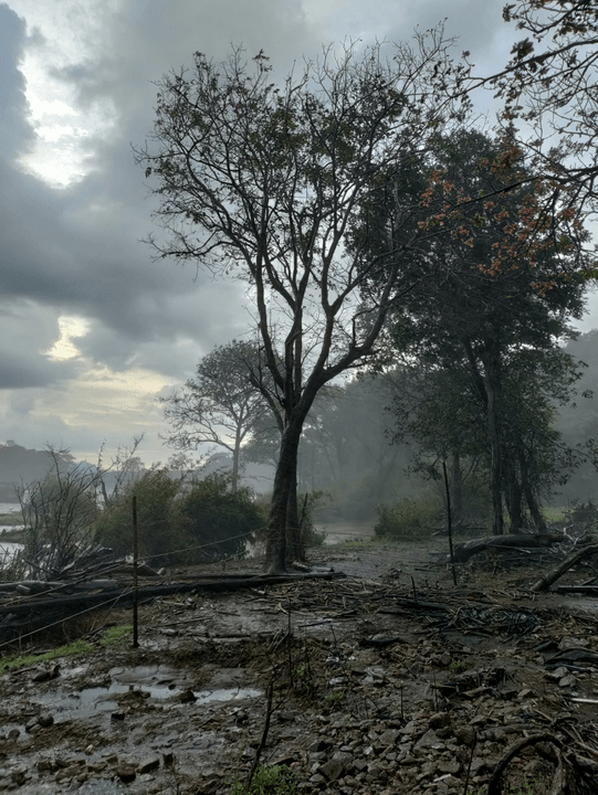 Celina Tx Experienced Water Fire Restoration