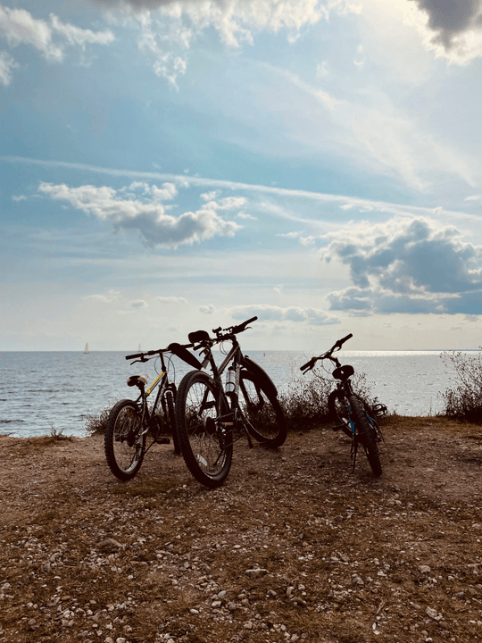 Our electric bikes are designed to offer optimal comfort thanks to careful ergonomics and quality materials. Driving comfort Our Mission Location Electric bike