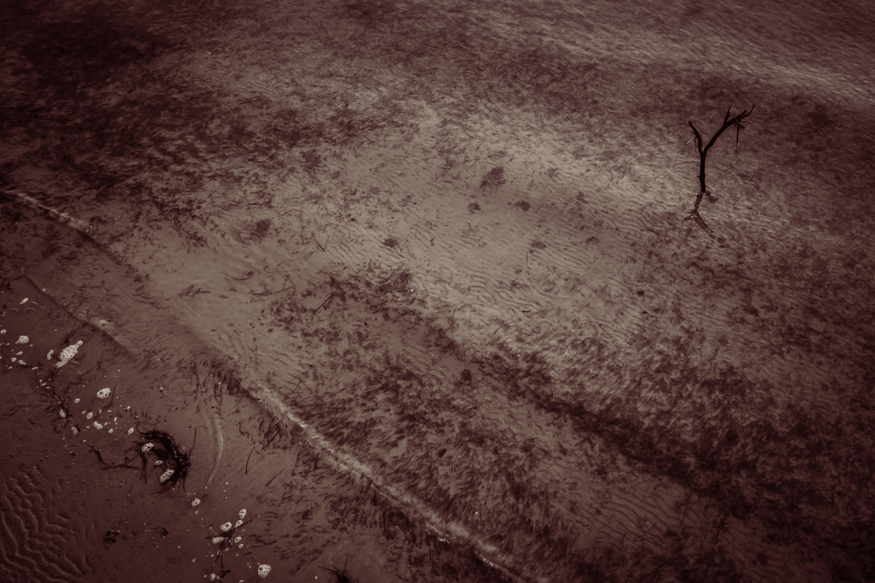 broken image