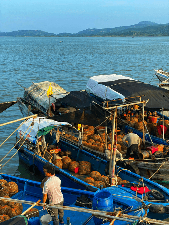 Fishing boats loaded with nets and marine gear