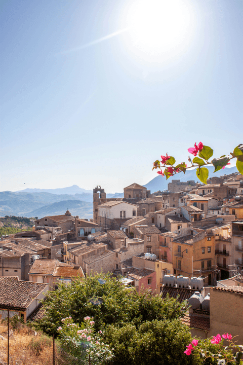 — Sofia Bianchi “The team provided invaluable insights into the Tuscan market, making my investment journey smooth and enjoyable.” Our team has guided countless individuals in finding their dream homes in Tuscany. Insights, advice, and inspiration for those dreaming of living, investing, or purchasing property in Tuscany. Among historic villages, vineyard-dotted hills, Renaissance art, and authentic flavors, explore the unique charm of the Tuscan lifestyle. Discover the most sought-after locations and the best real estate opportunities, as described by industry experts. Visit our portal www.toscanahouses.com to explore available properties.