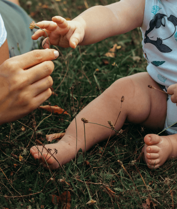 Hold parent-child activities to promote family exploration of the fun of insects. parent-child activity Our mission Give young children to explore various different types of insects