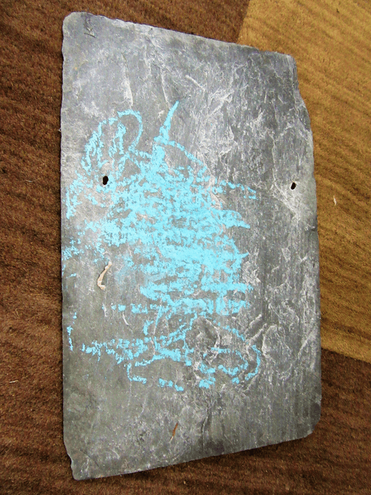 Section image