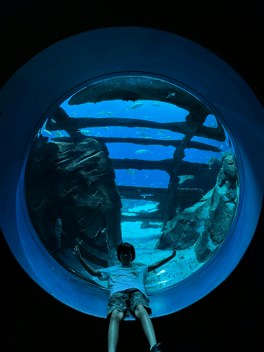 Section image