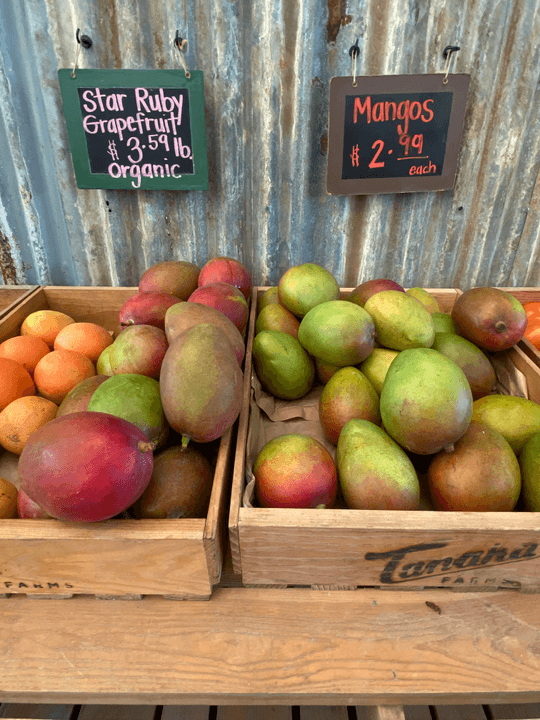 We prioritize sourcing the finest mango varieties available. Our commitment to quality ensures that every mango used in our recipes is ripe, flavorful, and sustainably grown. With a focus on freshness, we bring you the best ingredients that enhance the natural sweetness and vibrant taste of mango. Quality Ingredients What We Do Ingredients and methods for making mango