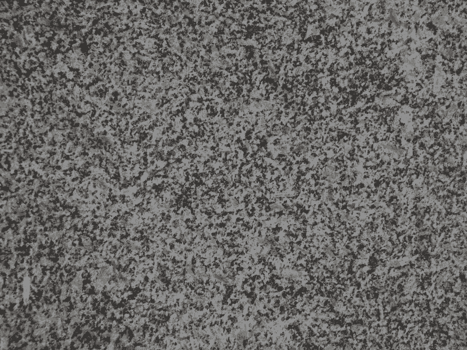 Polished Black Granite