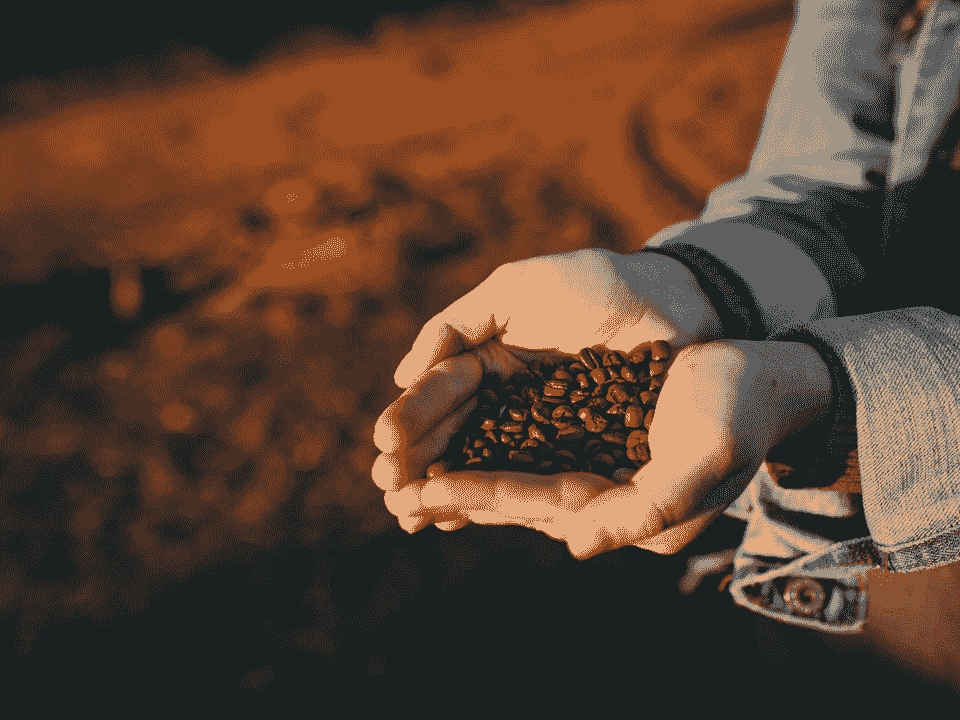 Natural Coffee Beans