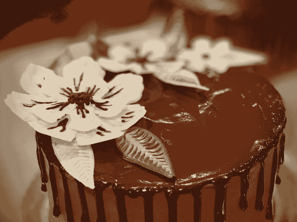 Decadent Chocolate Ganache Cake