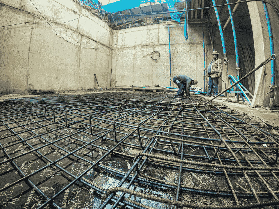 Initial Project Assessment