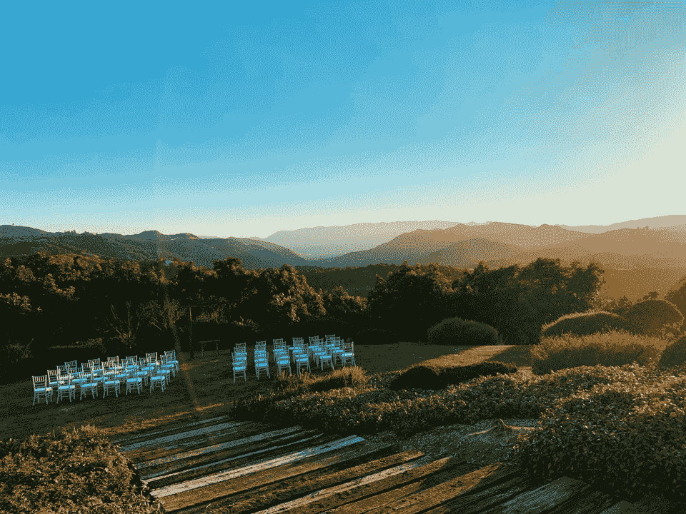Weddings at the Winery