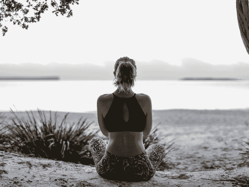 Mindfulness & Wellness Program