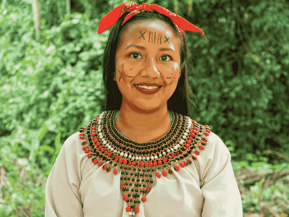 Guided Tour of Indigenous Artistry