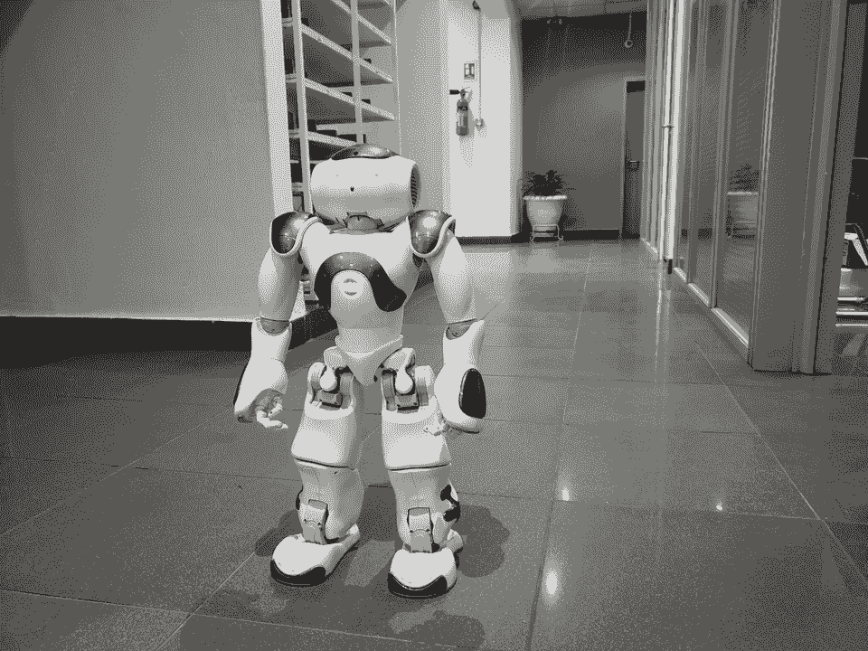 Customer Service Assistant Robot