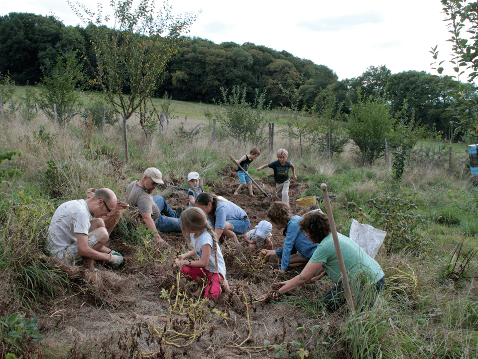 Webinar: Financing Regenerative Projects