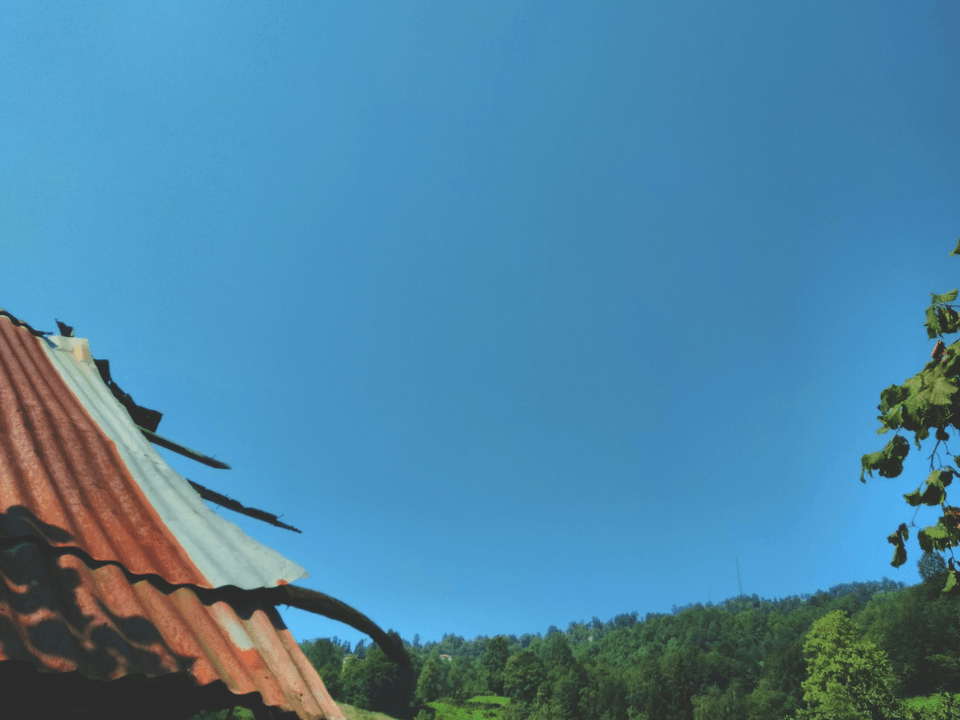 Convenient Online Booking