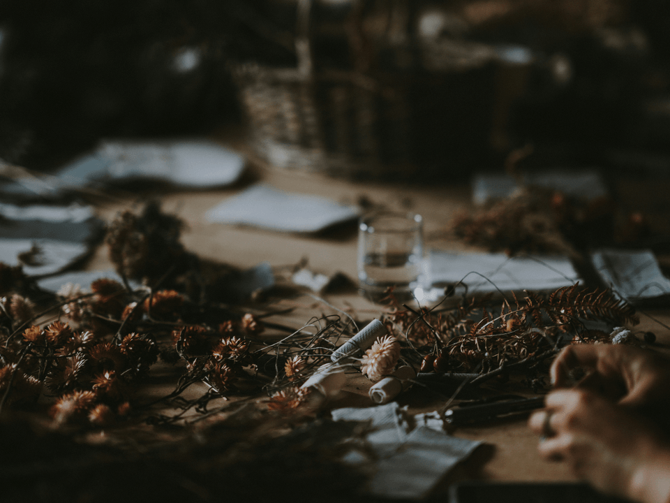 Navigating Life's Transitions Workshop