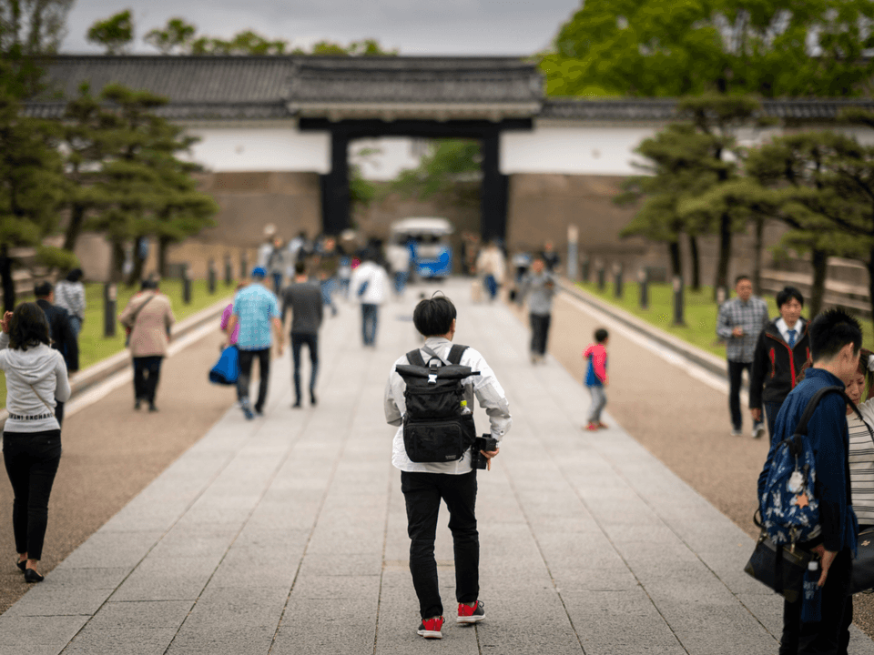 Step-by-Step Guidance