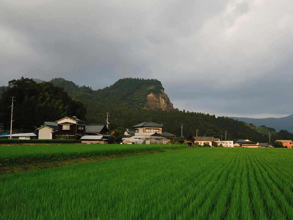 ガイド付き見学ツアー