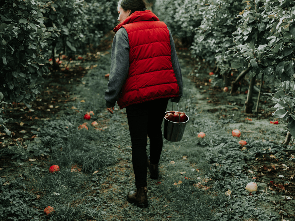 Personalized Farm Tours
