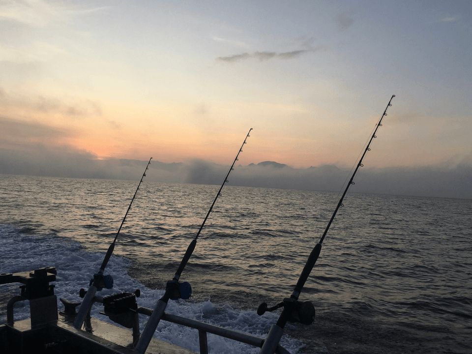 High-Performance Fishing Rods