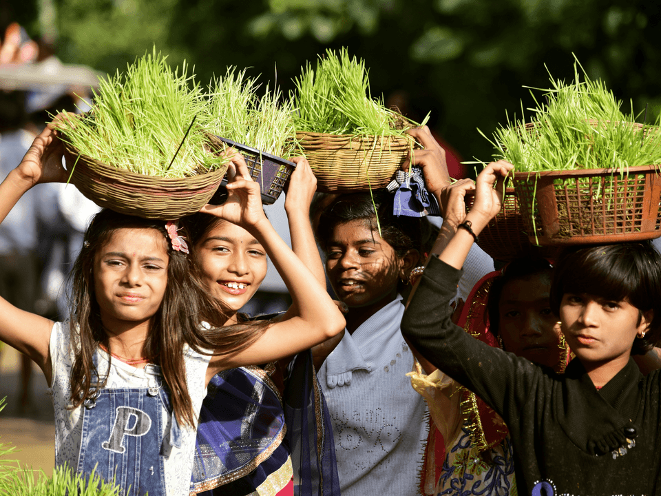 Annual Agricultural Fair