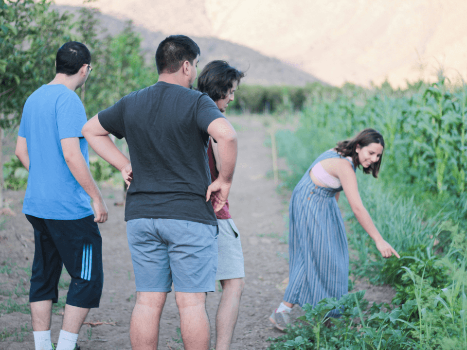 Farm Tour Booking
