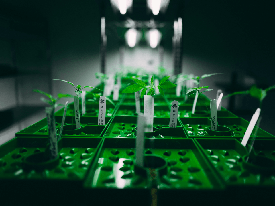 Evaluación de Necesidades